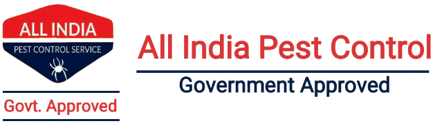 All India Pest Control – Best Pest Control Services Delhi NCR
